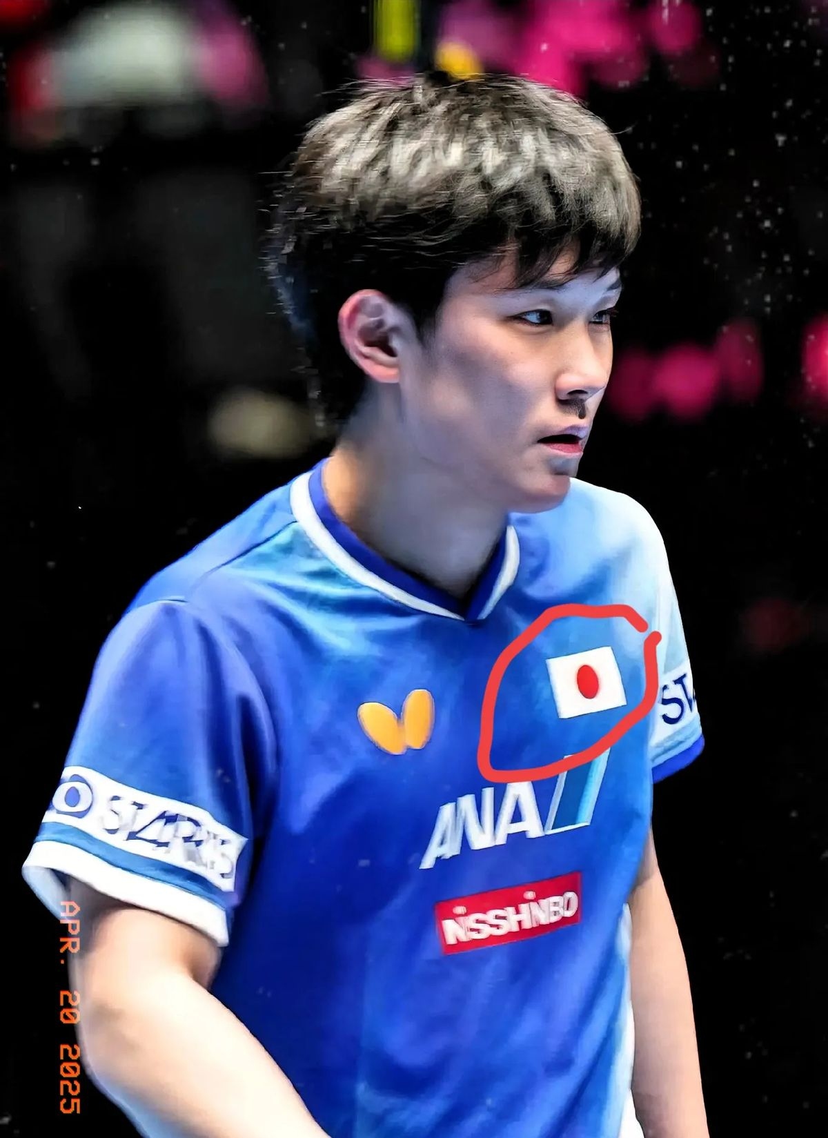 包含日本乒乓球队爆冷比利时乒乓球队，张本智和制霸全场的词条