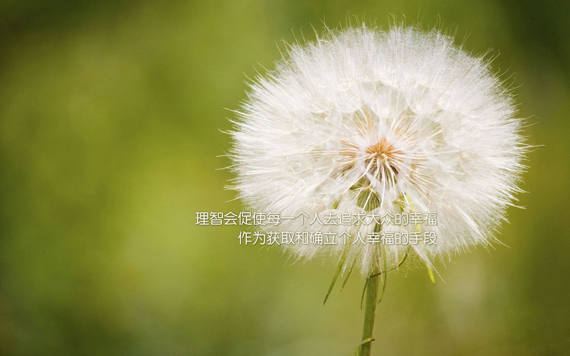 雷火电竞亚洲先驱-太阳耀斑熄灭之日，当东方长城筑起，欧文神话降临