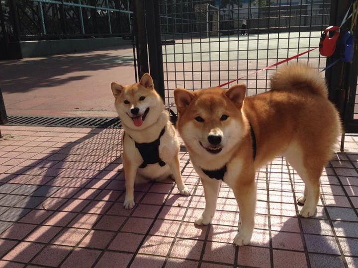 雷火电竞网站-平凡的觉醒，当被遗忘的赢家同时撕碎剧本